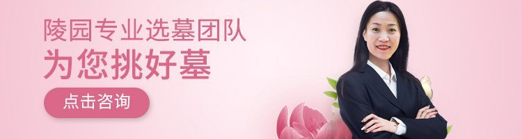 选墓团队