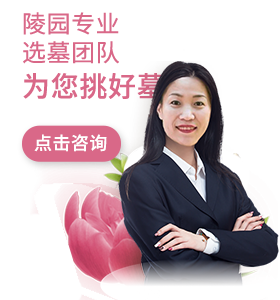 选墓团队