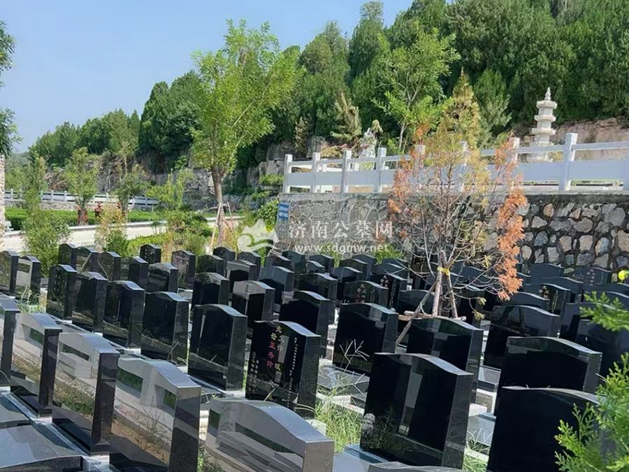 墓区环境