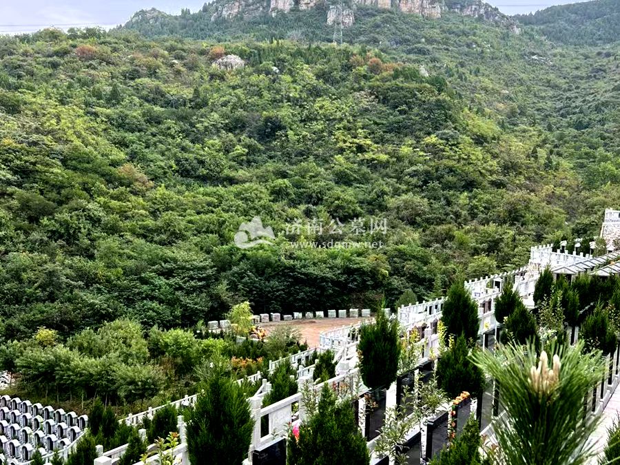 公墓陵园环境