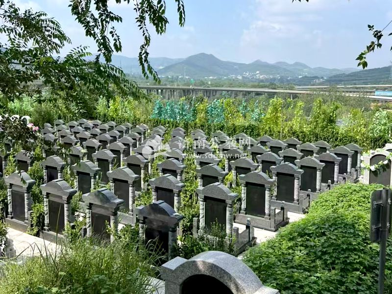 陵园风景
